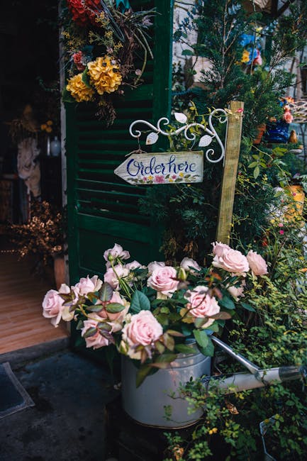 A floral display featuring a pale pink rose arrangement in a metallic watering can, placed outdoors on a wooden surface. The roses have full, soft petals and are paired with green foliage, creating a 